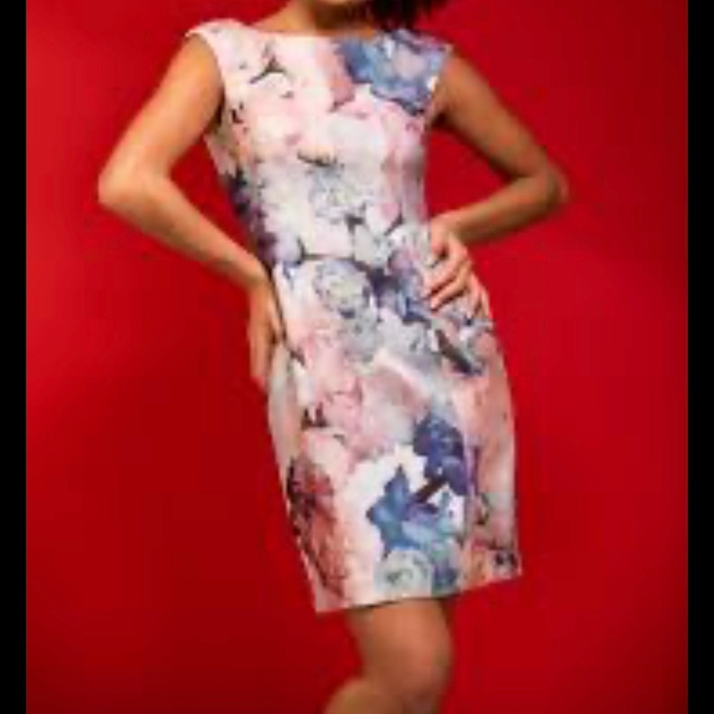 H&M Pink and Blue Floral Midi Dress